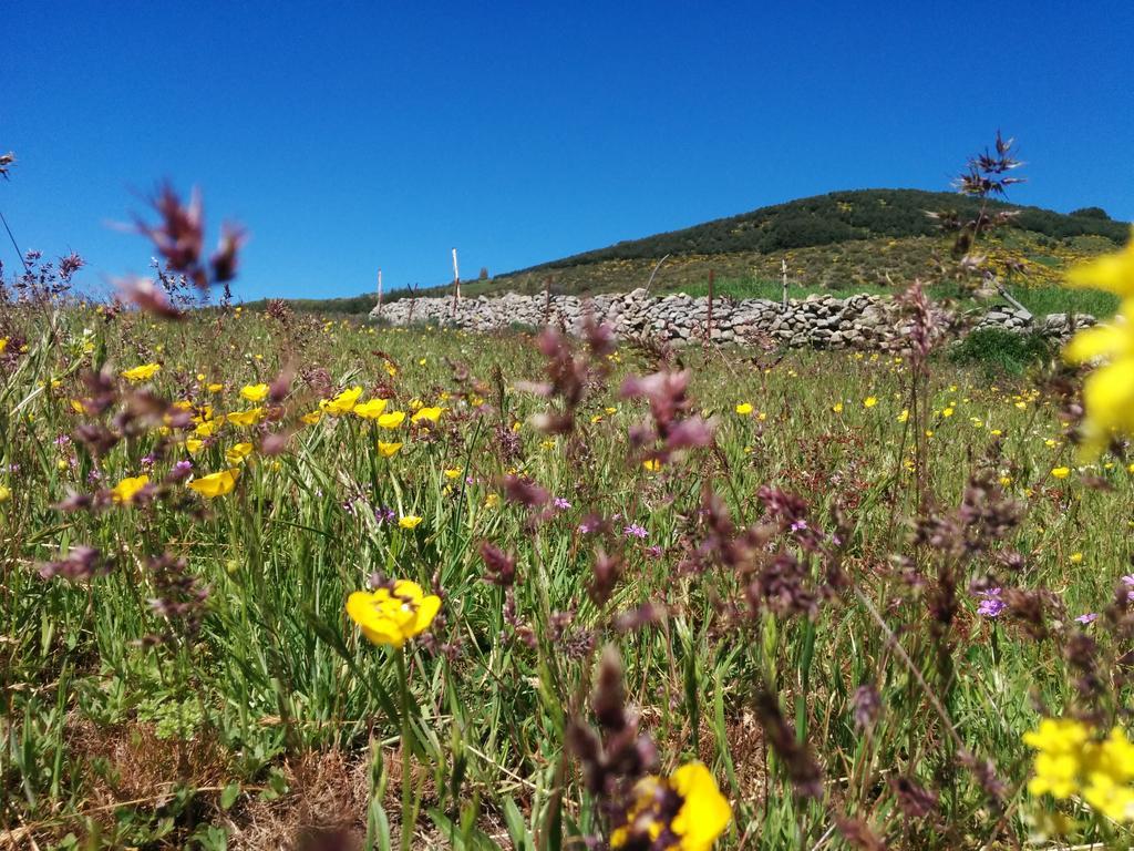 Hostal Refugio De Gredos Navarredonda de Gredos Buitenkant foto